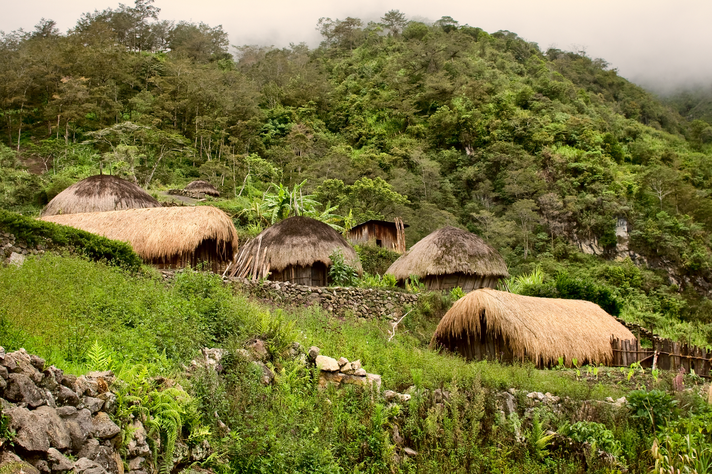 80 trobriand islands.webp